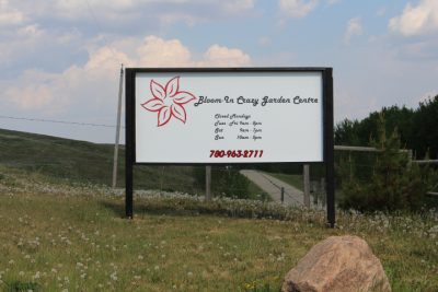 Bloom-In Crazy Garden Centre photo 5